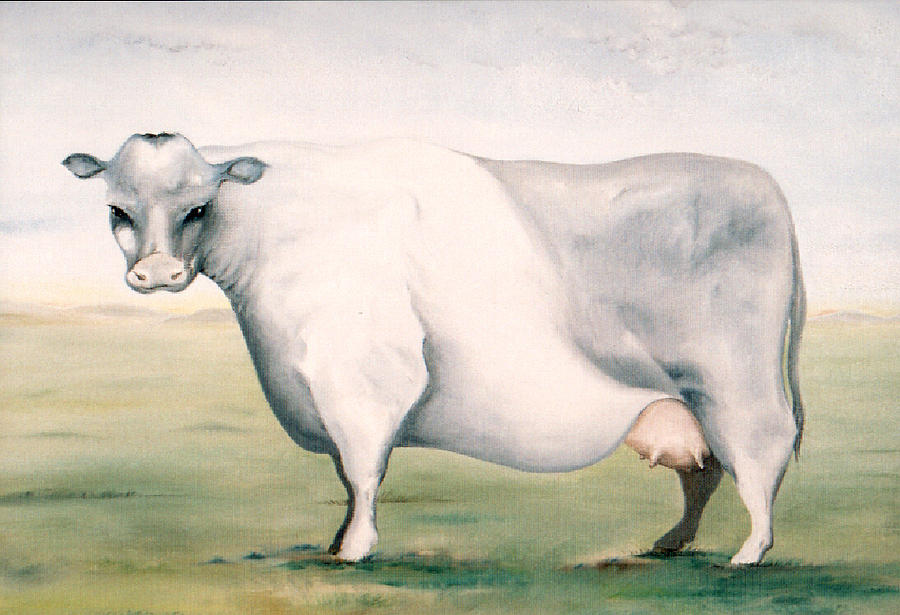 Cow Painting - Beef Holocaust I by Mark Cawood