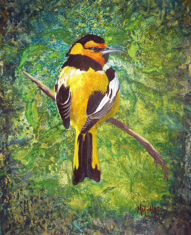 Beefy Bullock's Oriole by Marcus Moller Beefy Bullock's Oriole by Marcus Moller