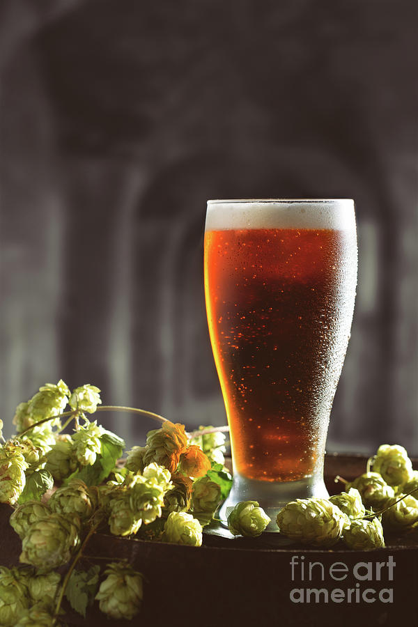Beer Photograph - Beer And Hops On Barrel by Amanda Elwell