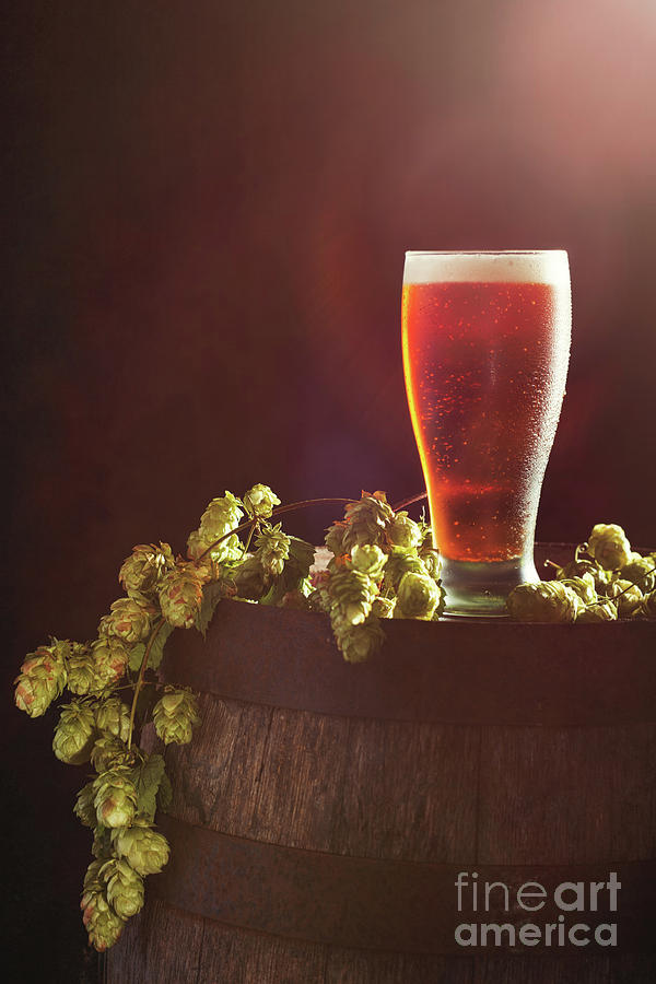 Beer Photograph - Beer With Hops by Amanda Elwell