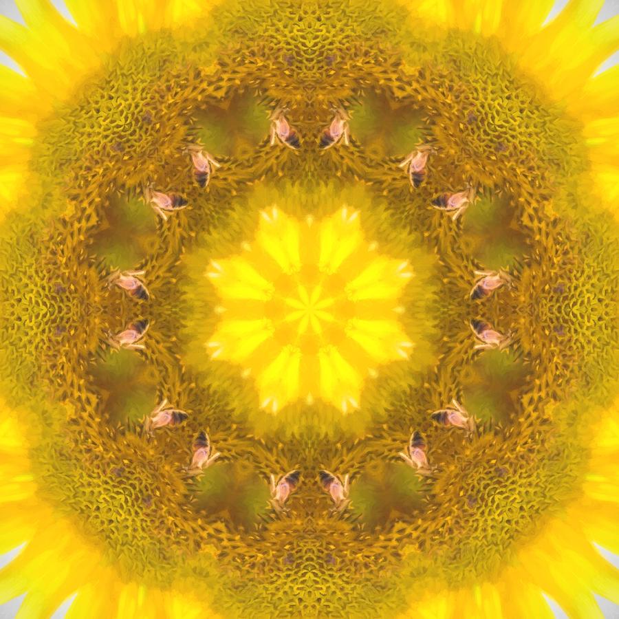 Bees Kaleidoscope Photograph by Natalie Rotman Cote