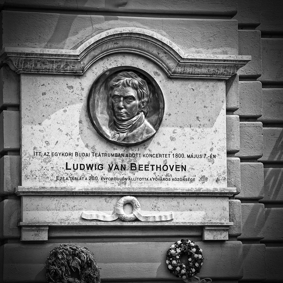 Beethoven Budapest Plaque Photograph by Phil Cardamone