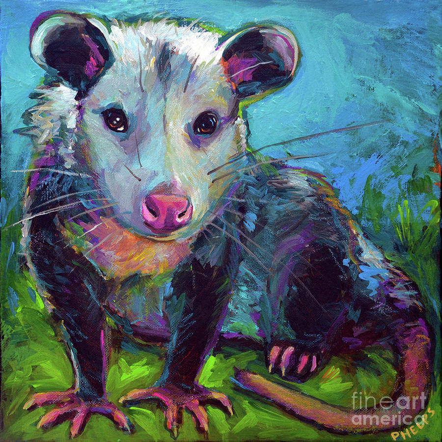 opossum painting