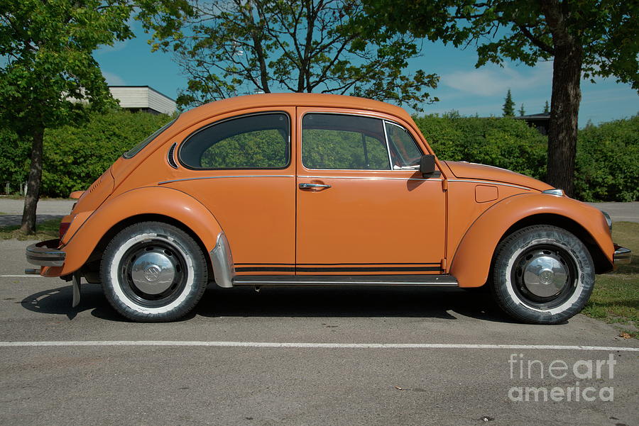 Beetle Photograph by Esko Lindell - Fine Art America