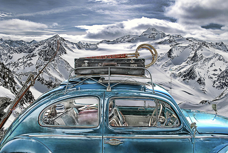 Mountain Photograph - Beetle in the Alps by Joachim G Pinkawa
