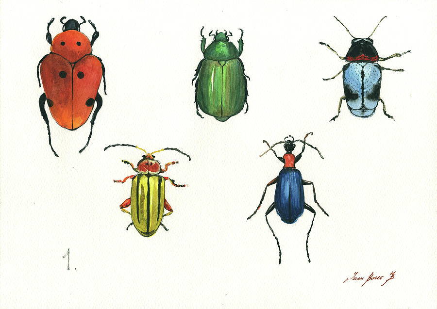 Beetles Painting - Beetles by Juan Bosco