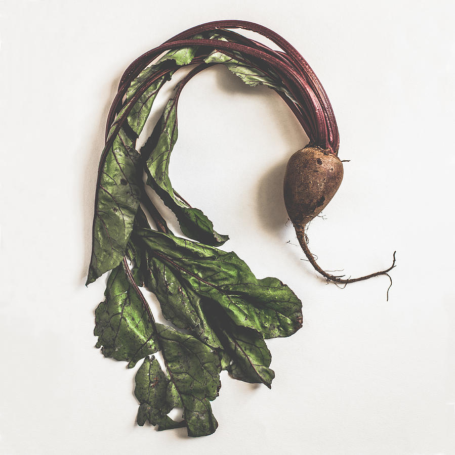 Fall Photograph - Kitchen Decor - Beetroot Tails by Kate Morton