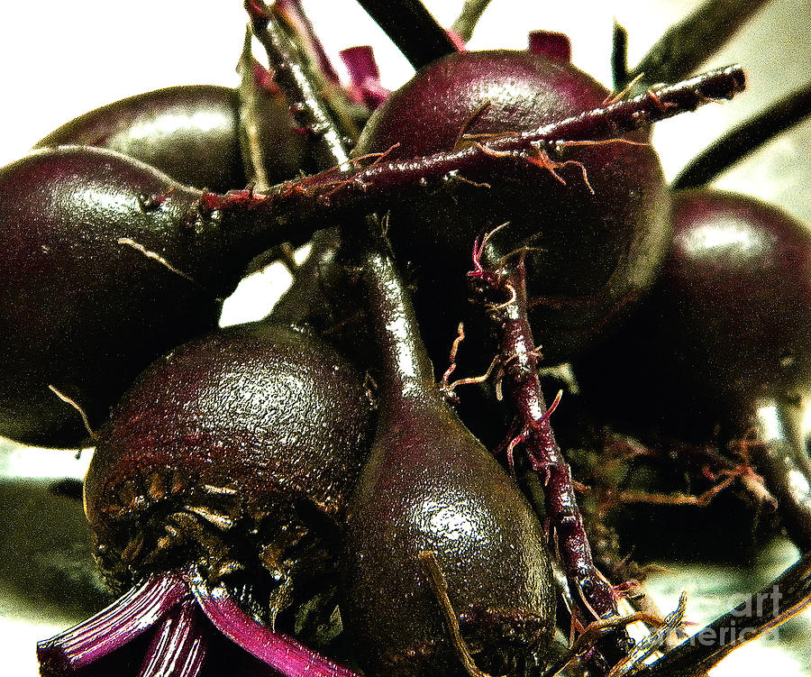 Vegetable Photograph - beets Me by Yvonne Willemsen