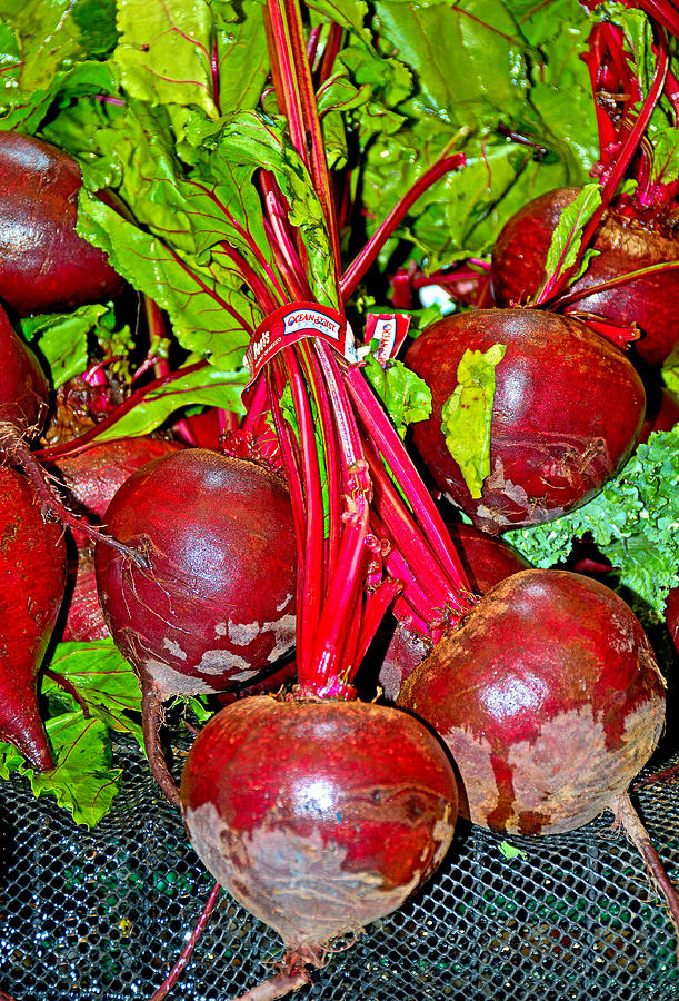Beets Photograph by Robert Meyers-Lussier