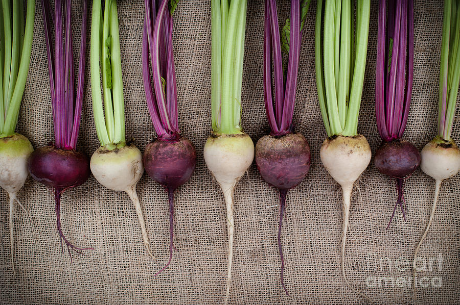 Beets Photograph by Tim Gainey