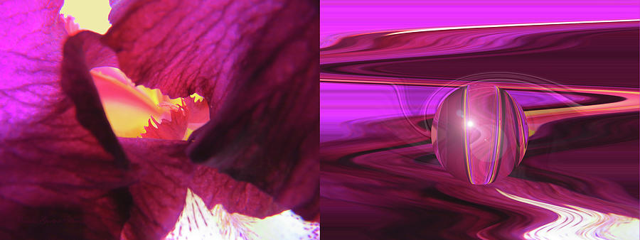 Before and After Iris Macro - Horizontal Version - Iris Extreme Make Over - Flora Photography Photograph by Brooks Garten Hauschild