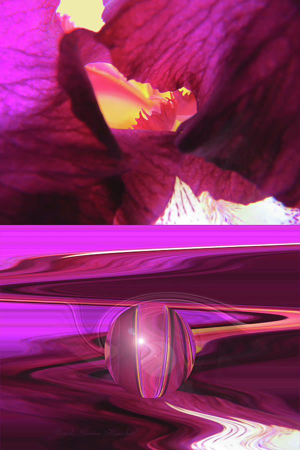 Before and After - Iris Macro Photography - Old and New - Irises Extreme Make-over Photograph by Brooks Garten Hauschild