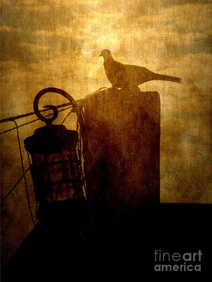 Dove Digital Art - Before the Light by Ola Leon