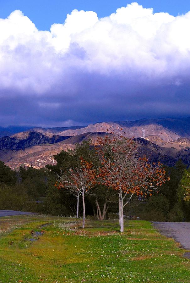 Before The Storm by My Lens and Eye - Judy Mullan - Before The Storm by My Lens and Eye - Judy Mullan -