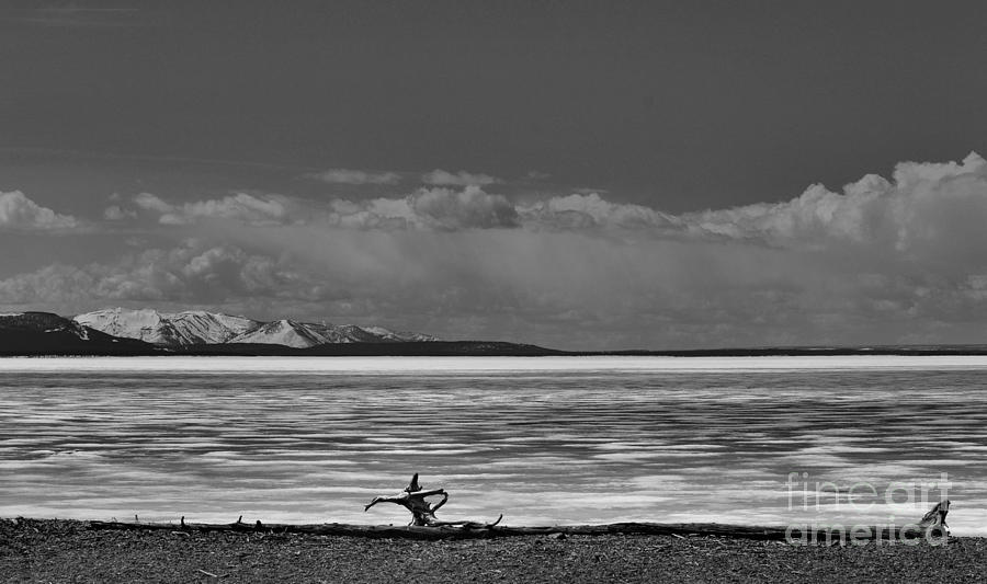 Before the Thaw on Yellowstone Lake Photograph by Nadalyn Larsen