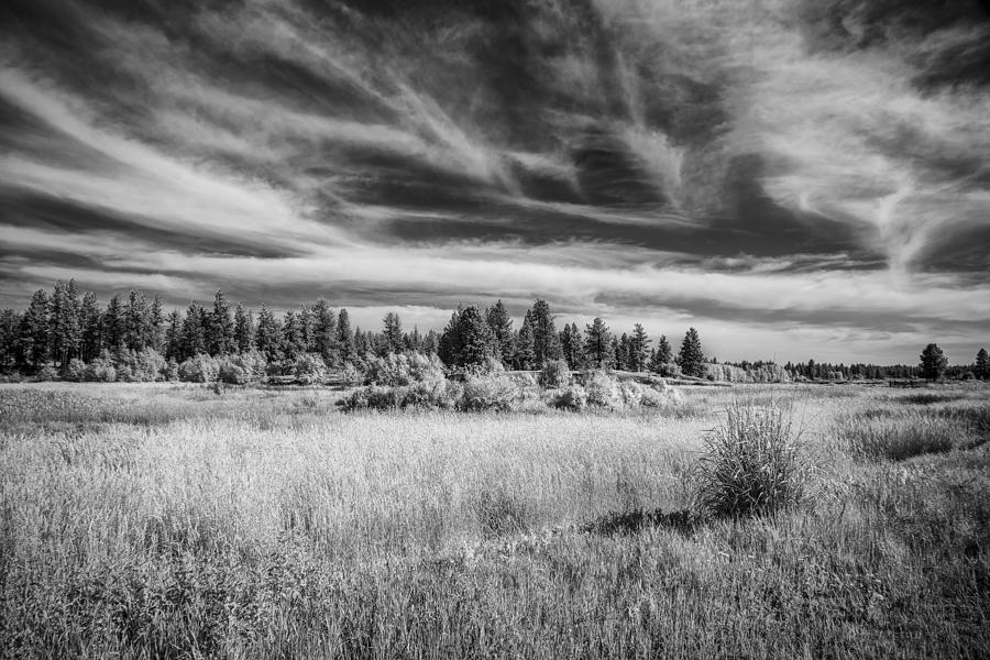 Black And White Photograph - Before Us by Jon Glaser