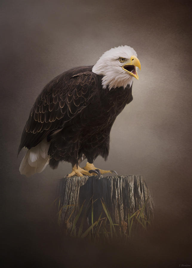 Begin Doing - Eagle Art Painting by Jordan Blackstone