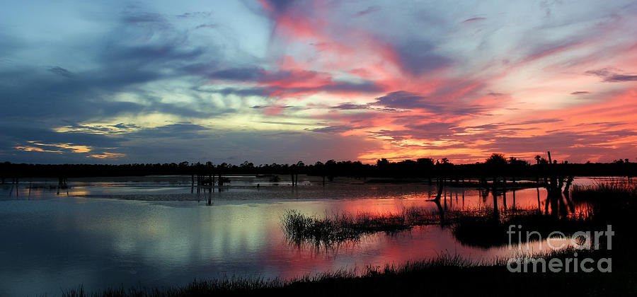 Sunset Photograph - Beginning of a Beautiful Night by Liesl Walsh