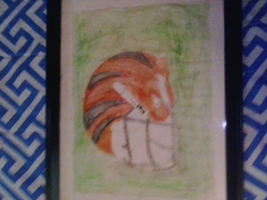 Bengals Helmet Drawing by Harrison Ma - Fine Art America