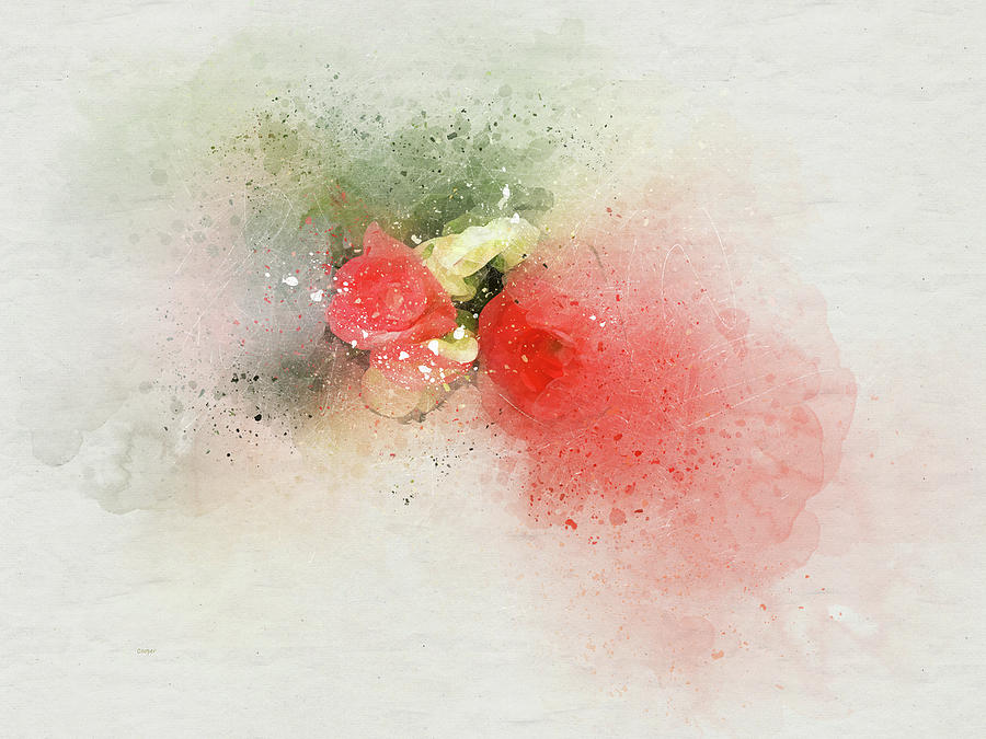Begonia 7 Digital Art by Peggy Cooper-Hendon