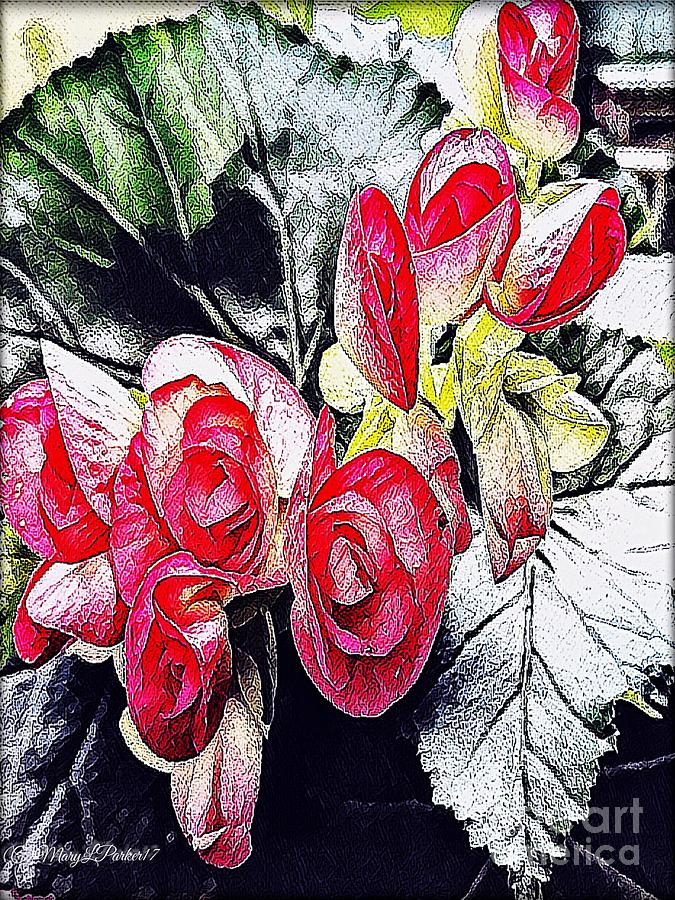 Begonia  Blooming  Mixed Media by MaryLee Parker