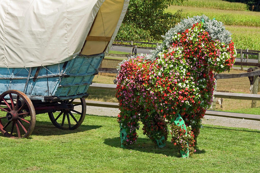 Begonia Horse with Wagon Photograph by Sally Weigand