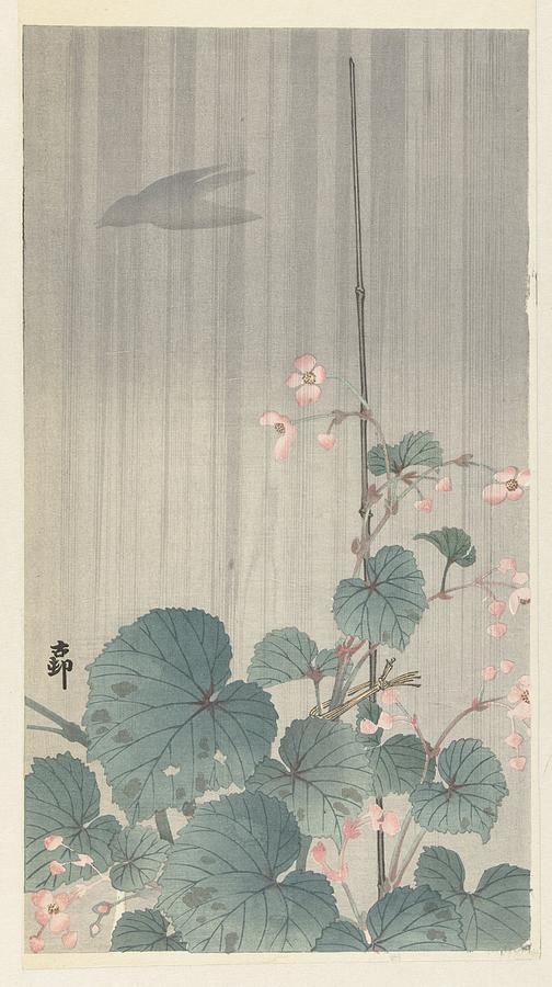 Begonia in de regen Painting by Ohara Koson and Adachi Toyohisa