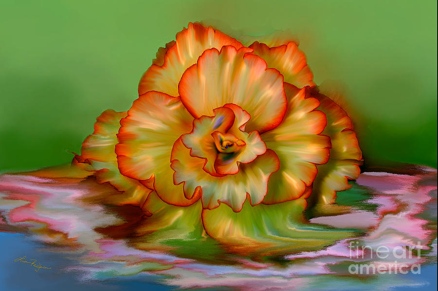 Begonia Digital Art by Lisa Redfern