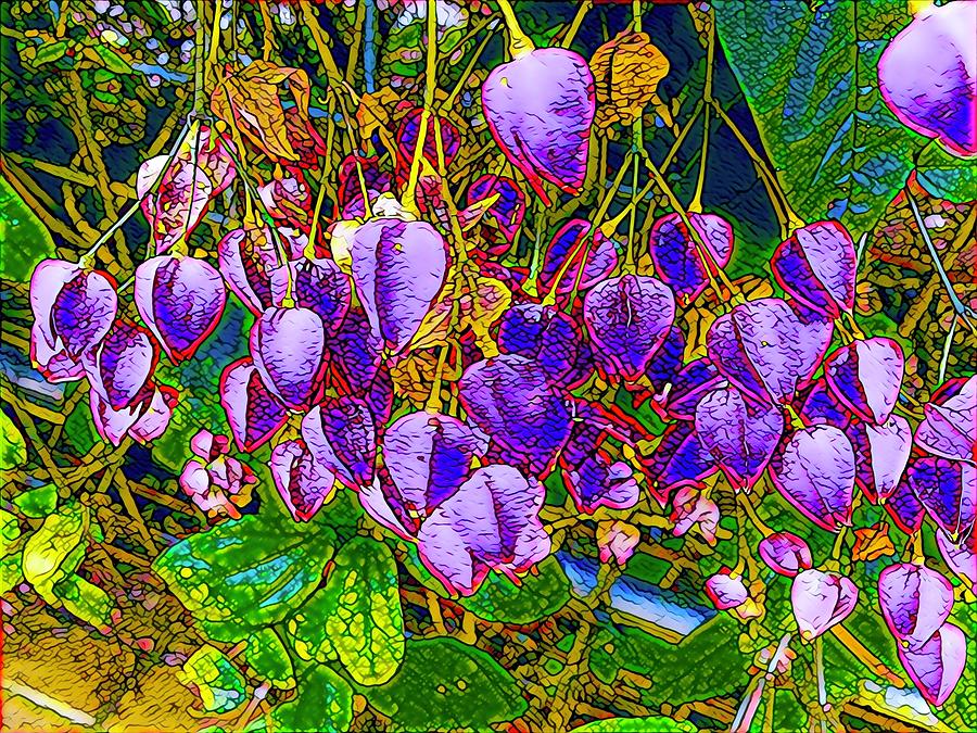 Begonias in Purple at Nani Mau Photograph by Joalene Young