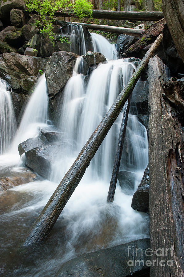 Waterfall Photograph - Behind the Log by Rod Wiens