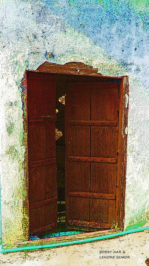 Behind the Open Door Photograph by Lenore Senior