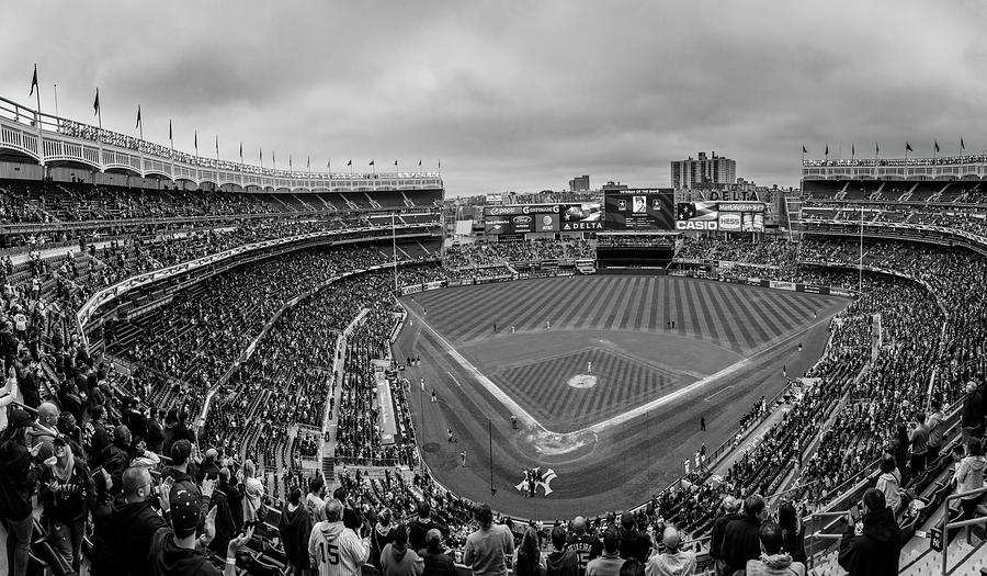 Behind the Plate Yankee Stadium  Photograph by John McGraw