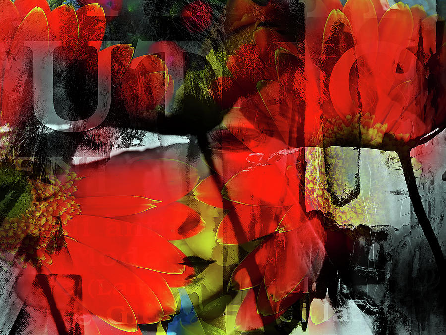 Behind the poppies Digital Art by Gabi Hampe