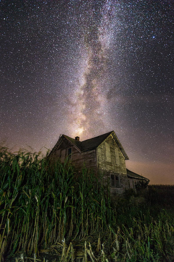 Behind The Rows Photograph by Aaron J Groen
