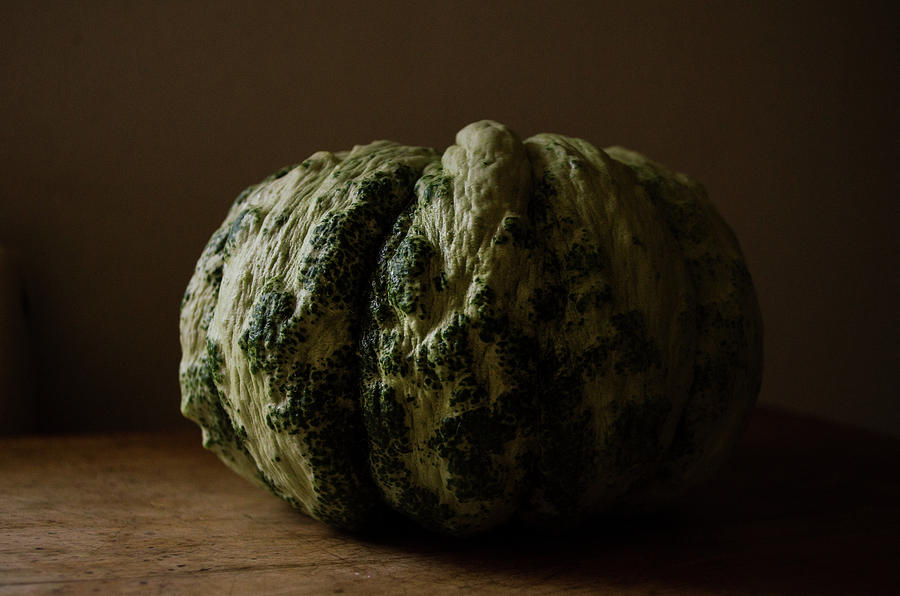 Behold the melon Photograph by Rae Ann  M Garrett