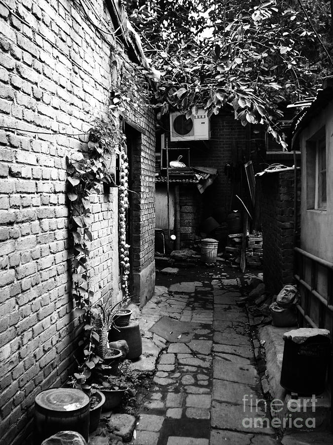 Beijing City 17 Photograph by Xueling Zou