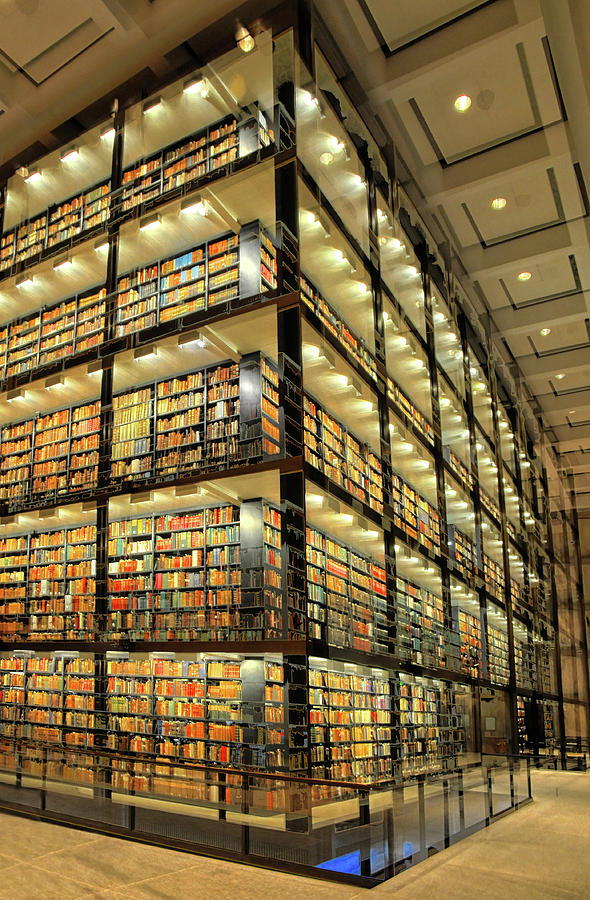 Book Photograph - Beinecke Library At Yale University by Dave Mills