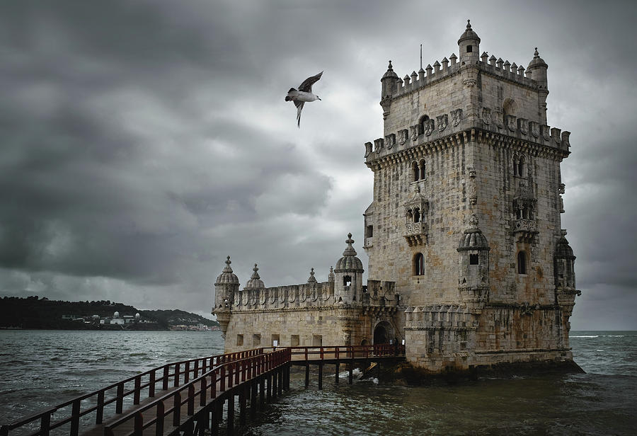 Seagull Photograph - Belem Tower, Lisbon by Carlos Caetano