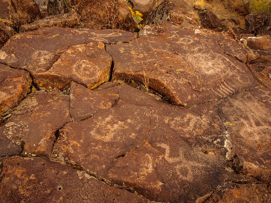 Nature Photograph - Belfast Petroglyph 6 by Michele  James