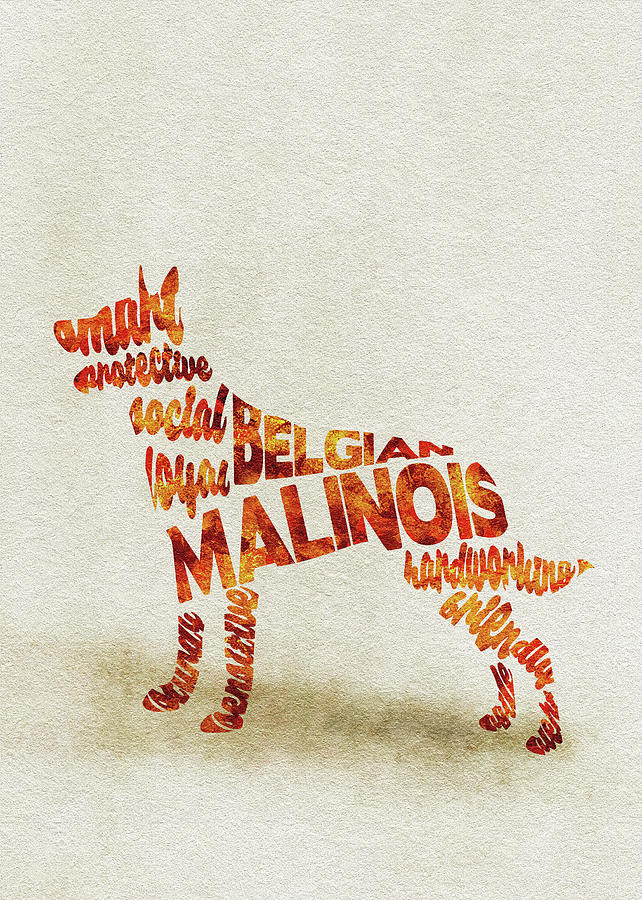 Belgian Malinois Watercolor Painting / Typographic Art Painting by Inspirowl Design