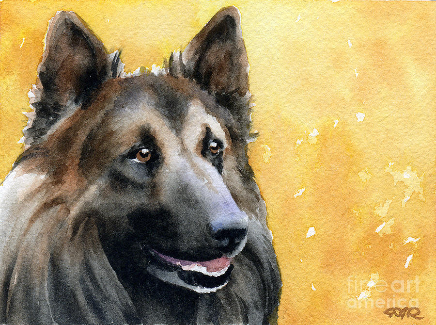 Dog Painting - Belgian Tervuren by David Rogers