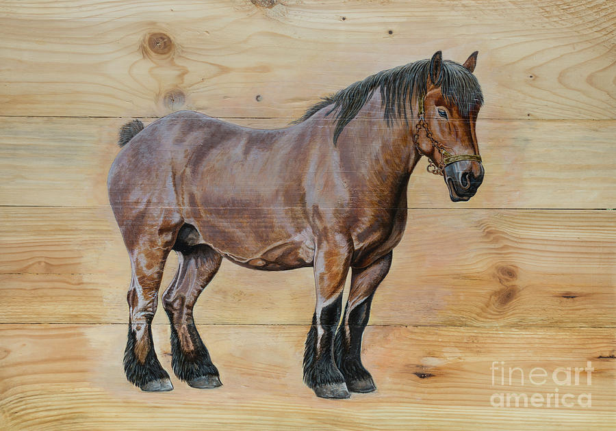 Belgian draft horse. Painting by P van Munster