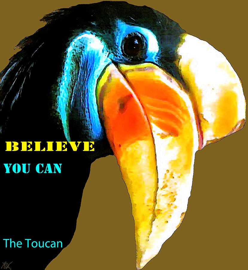 Believe Toucan Photograph by Debra     Vatalaro
