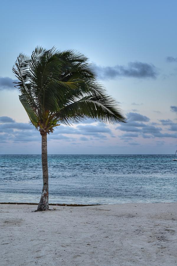 Belize At Sunset Photograph By Josh Coleman Fine Art America