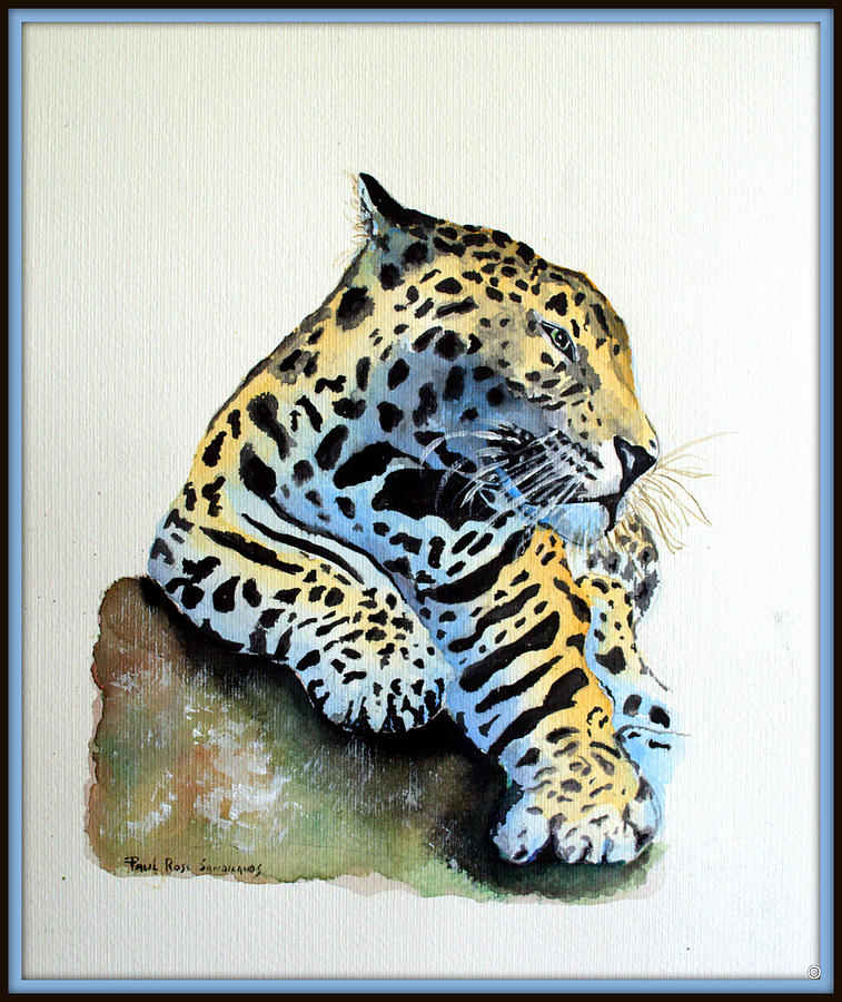 Belize Cat Painting