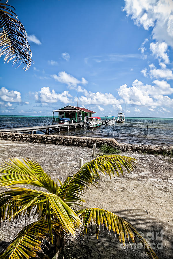 Belizean Marina Photograph by Lawrence Burry