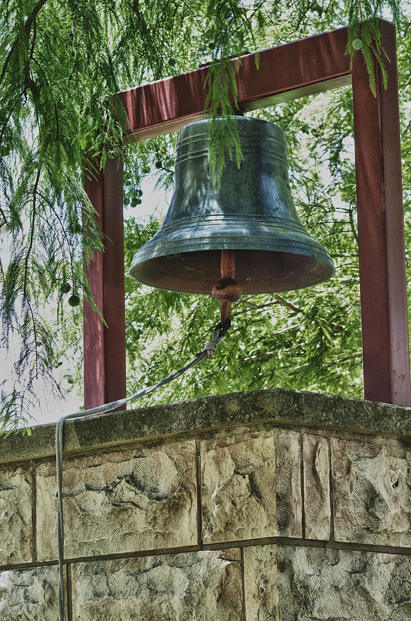 Tree Photograph - Bell by Edwin A Rivers