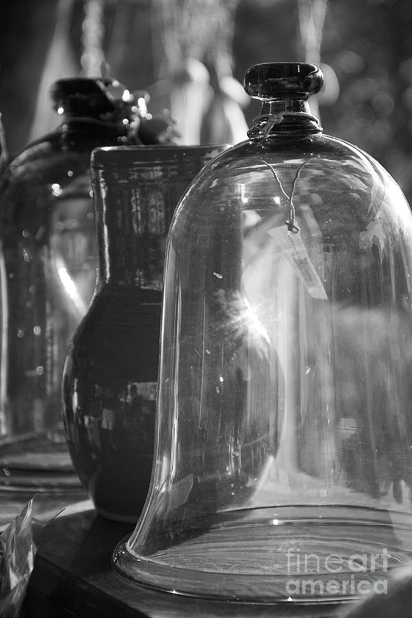 Bell Jar Colonial Williamsburg Virginia I B and W Photograph by Karen Jorstad