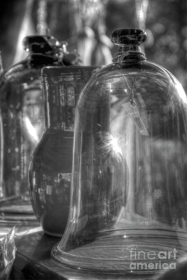 Bell Jar Colonial Williamsburg Virginia II B and W Photograph by Karen Jorstad