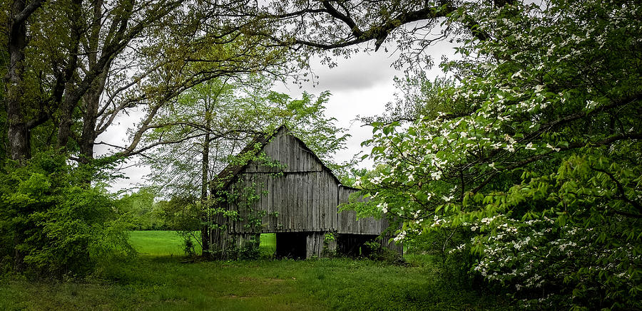 Bell Road Barn Photograph by Bob Bell